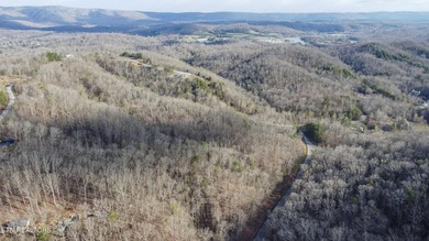 Build Your Dream Lifestyle - Rare Double Lot Opportunity! - photo 11