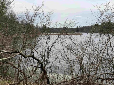 Mature trees cover this acre parcel on the backwaters of Castle - Lake Lot For Sale in Friendship, Wisconsin