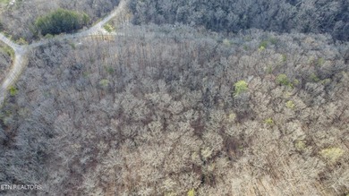 Build Your Dream Lifestyle - Rare Double Lot Opportunity! - photo 16