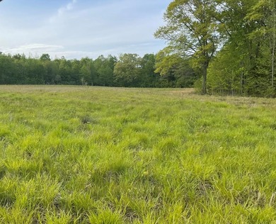 (private lake, pond, creek) Lot Active Under Contract in Buena Vista Tennessee