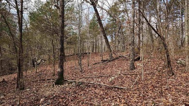 Discover these small acreage lots in Bull Shoals! Zoned R1 and - photo 2