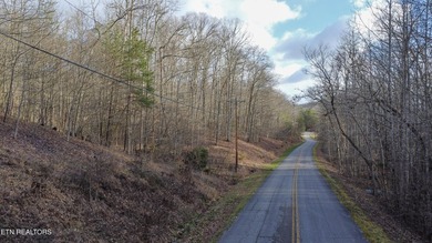 Build Your Dream Lifestyle - Rare Double Lot Opportunity! - photo 23