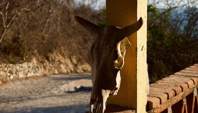 Perched on a dramatic bluff above the Pacific Ocean, MARALUZ is - photo 53