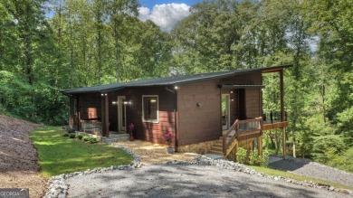 Lake Home For Sale in Morganton, Georgia