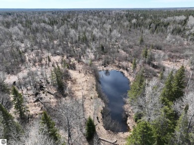 (private lake, pond, creek) Acreage Sale Pending in Eckerman Michigan