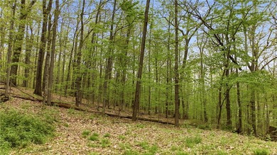 Keuka Lake Eastside! Situated in the heart of the Finger Lakes - photo 11