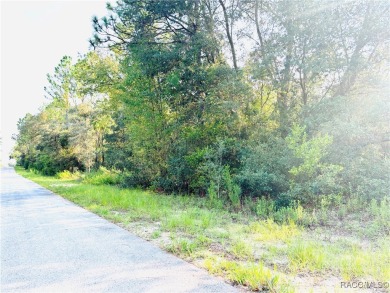 Bonable Lake Lot For Sale in Dunnellon Florida