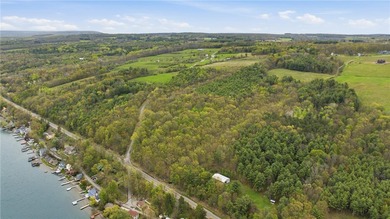 Keuka Lake Eastside! Situated in the heart of the Finger Lakes - photo 12