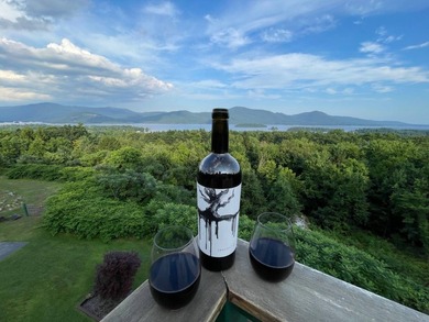 Pictures of view are not shot with a drone, they are actual - photo 2