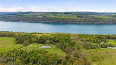 Keuka Lake Eastside! Situated in the heart of the Finger Lakes - photo 13