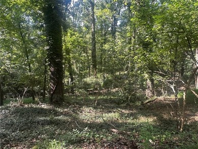 This wooded lot, located in Mountain Park, is part of another - photo 3