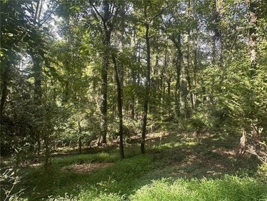 This wooded lot, located in Mountain Park, is part of another - photo 4