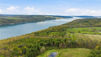 Keuka Lake Eastside! Situated in the heart of the Finger Lakes - photo 15