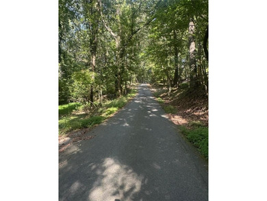 This wooded lot, located in Mountain Park, is part of another - photo 5