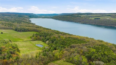 Keuka Lake Eastside! Situated in the heart of the Finger Lakes - photo 16