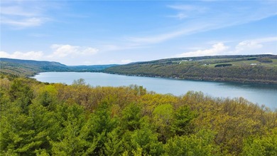 Keuka Lake Eastside! Situated in the heart of the Finger Lakes - photo 17