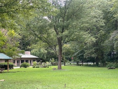 This wooded lot, located in Mountain Park, is part of another - photo 7