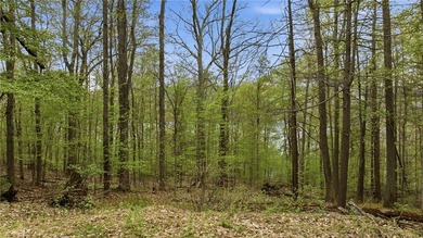 Keuka Lake Eastside! Situated in the heart of the Finger Lakes - photo 18
