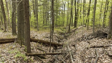 Keuka Lake Eastside! Situated in the heart of the Finger Lakes - photo 19