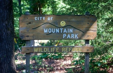 This wooded lot, located in Mountain Park, is part of another - photo 9