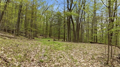 Keuka Lake Eastside! Situated in the heart of the Finger Lakes - photo 20