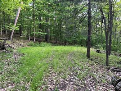 Keuka Lake Eastside! Situated in the heart of the Finger Lakes - photo 21