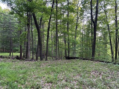 Keuka Lake Eastside! Situated in the heart of the Finger Lakes - photo 22