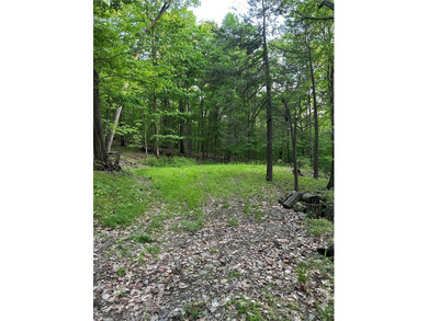 Keuka Lake Eastside! Situated in the heart of the Finger Lakes - photo 23