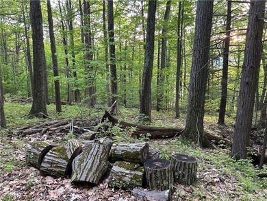Keuka Lake Eastside! Situated in the heart of the Finger Lakes - photo 24