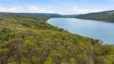 Keuka Lake Eastside! Situated in the heart of the Finger Lakes - photo 25