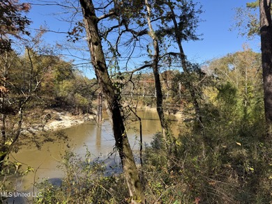 (private lake, pond, creek) Acreage For Sale in Florence Mississippi