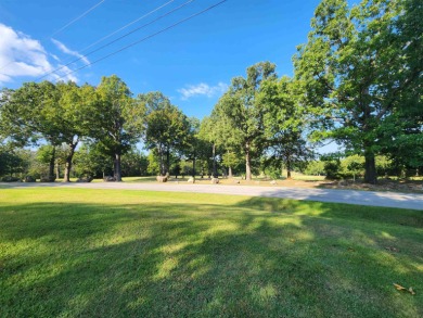 This is a must-see gorgeous Corner Lot- Golf Course Lot, backing - photo 9