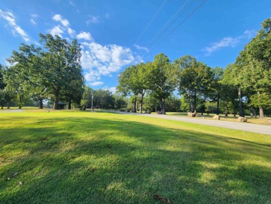 This is a must-see gorgeous Corner Lot- Golf Course Lot, backing - photo 10