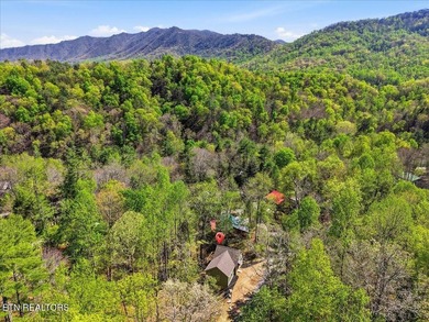 Newly Constructed Stunning Mountain Retreat - Where Luxury Meets - photo 25