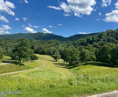 Newly Constructed Stunning Mountain Retreat - Where Luxury Meets - photo 26