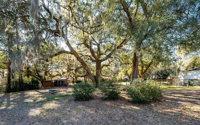 Welcome to your private Lowcountry retreat at 7967 Highway 162 - photo 39