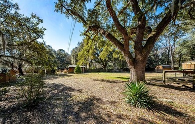 Welcome to your private Lowcountry retreat at 7967 Highway 162 - photo 46
