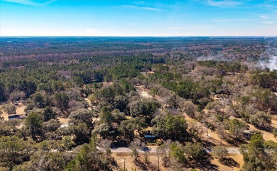 Welcome to your private Lowcountry retreat at 7967 Highway 162 - photo 48