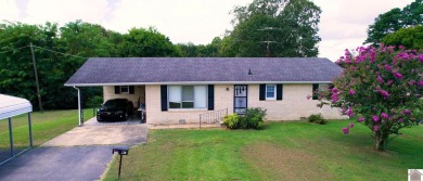 Lake Home For Sale in Benton, Kentucky