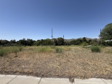 Big Wood River Commercial For Sale in Bellevue Idaho