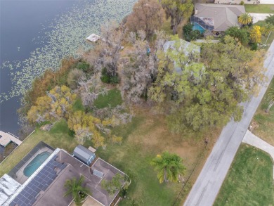 Lake Joyce Lot For Sale in Land O Lakes Florida