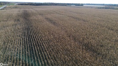 (private lake, pond, creek) Acreage For Sale in Bloomfield Iowa