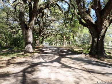 Located in South Dunnellon near the junction of US 41 and - photo 34