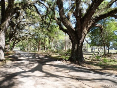 Located in South Dunnellon near the junction of US 41 and - photo 35