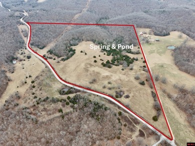 (private lake, pond, creek) Acreage For Sale in Mountain Home Arkansas