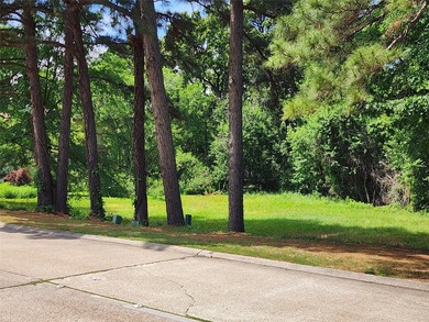 This beautiful homesite offers a peaceful setting with a mix of - photo 1