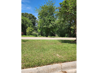 This beautiful homesite offers a peaceful setting with a mix of - photo 2