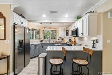 Waterfront canal home in beautiful Homosassa, FL a boater's and - photo 12