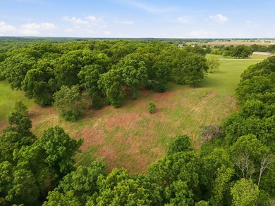 The only true lake view tract currently on the market at - photo 13