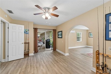 Waterfront canal home in beautiful Homosassa, FL a boater's and - photo 17